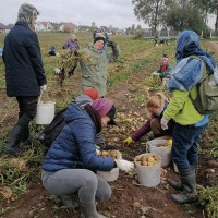 Помощь стране в уборке урожая