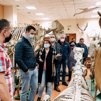 Экскурсии для делегаций Общества красного Креста