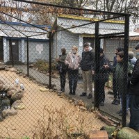 Практическое занятие в зоопарке
