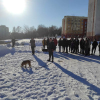 Занятие по кинологии  для студентов по специальности “Зоотехния”