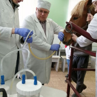 В СНК «Диагностика» изучают методы взятия и исследования  желудочного содержимого у животных