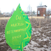 В Чаусах Могилевской области появился сад «Надежды ветеринарных врачей»
