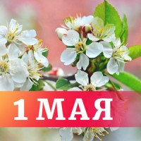 Поздравляем с Праздником труда!