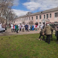 Мастер класс по кастрации жеребца на кафедре общей, частной и оперативной хирургии