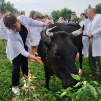 Учебная практика у студентов первого курса факультета ветеринарной медицины