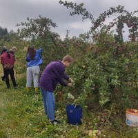 Участие студентов факультета ветеринарной медицины  в благотворительной акции «Сад Надежды»