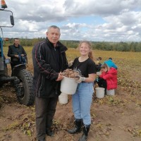 Оказание помощи по уборке урожая свеклы УП «Рудаково» Витебского района студентами Витебской академии ветеринарной медицины.