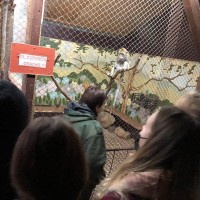 Экскурсия студентов 1 курса в Витебский зоопарк