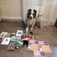 Открытый турнир по Дог-Фрисби и Дог-Пуллер