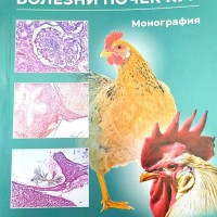 Вышла в свет монография «Болезни почек кур»