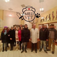 Проект MEDVET-2022
