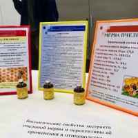 Конкурсный тур Министерства образования Республиканского молодёжного проекта «100 идей для Беларуси»