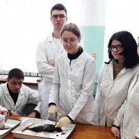 Лабораторно-практические занятия по болезням рыб