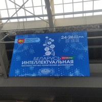 Беларусь интеллектуальная –  регионы (Гродно, Брест)