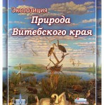 Экскурсия для иностранных студентов УО ВГАВМ  в краеведческий музей Витебска