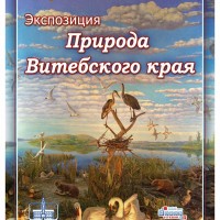 Экскурсия для иностранных студентов УО ВГАВМ  в краеведческий музей Витебска