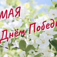 «Радкі, апаленыя вайной…»