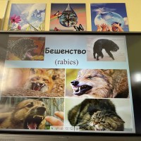 Інфармацыйная работа па прафілактыцы асабліва небяспечных хвароб жывёл і чалавека
