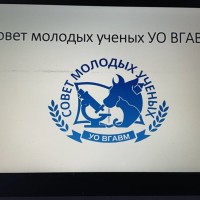 «Шаг к успеху»