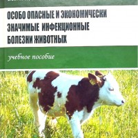 Международная учебно-методическая работа